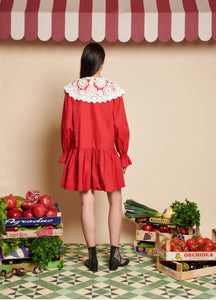 POMEGRANATE COLLAR MINI DRESS